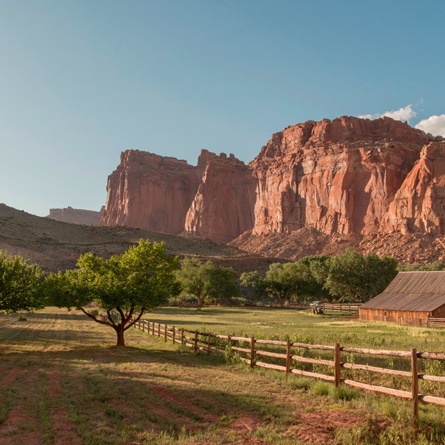 Landscape